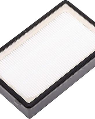 Filtro HEPA aspirapolvere Rowenta Powerline Extrem
