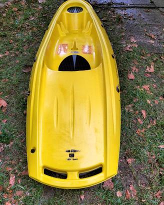 Kayak monoposto
