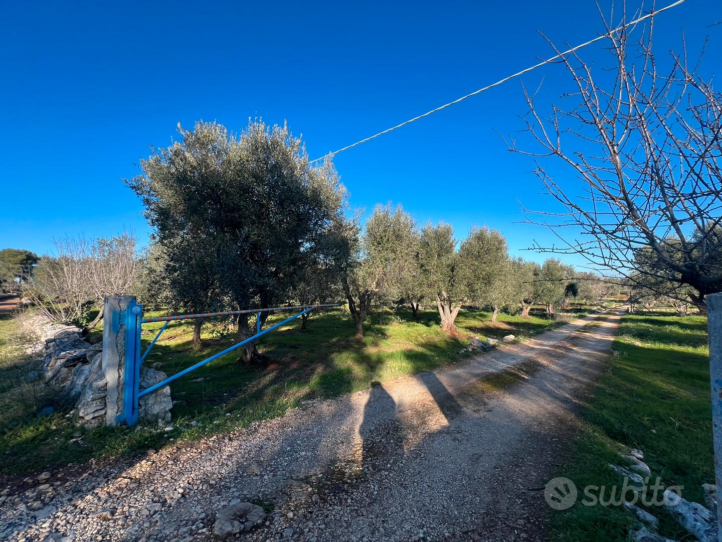 Terreno agricolo - Vista 2