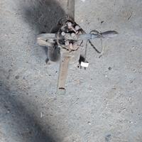 saldatore per seghe a nastro