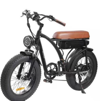 bici elettrica