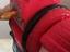 Immagine 6