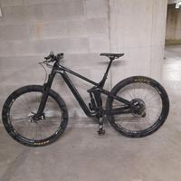 Canyon CF Strive 29"