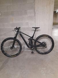 Canyon CF Strive 29"