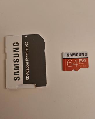 Scheda MicroSD Samsung EVO Plus 64 GB