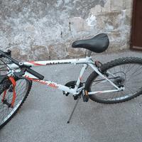 Bicicletta mountain-bike bianca/rossa