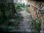 Immagine 13