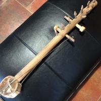 Strumento Vintage a corde del Rajasthan