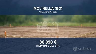 Immobile in asta di 23049 m² a Molinella