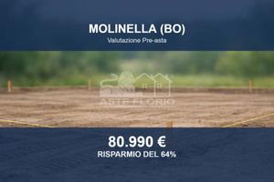 Immobile in asta di 23049 m² a Molinella