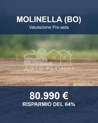 Immobile in asta di 23049 m² a Molinella