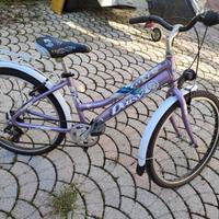Bicicletta