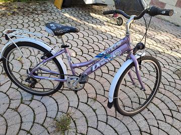 Bicicletta