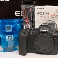 Canon R6 Mark II 6491 scatti