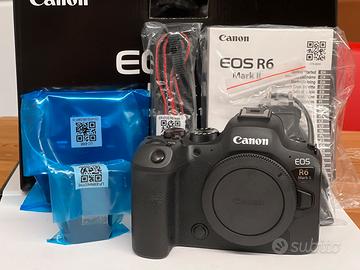 Canon R6 Mark II 6491 scatti