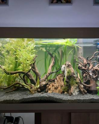 Eheim VivalineLED 180 – acquario completo di acces