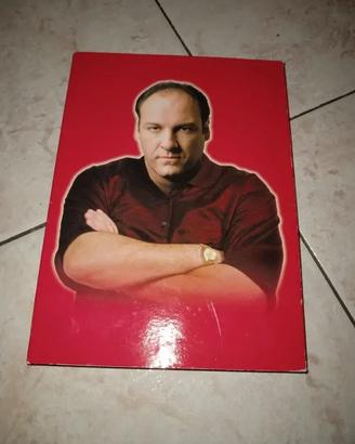 DVD: prima stagione The Sopranos
