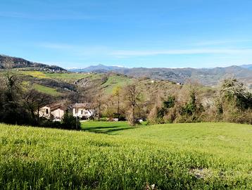 La volpe Rossa B&B