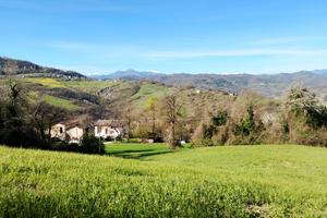 La volpe Rossa B&B