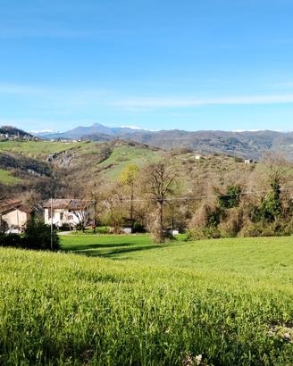 La volpe Rossa B&B