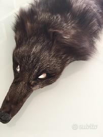 Collo in volpe argentata