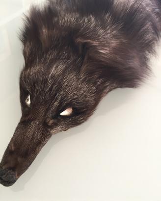 Collo in volpe argentata