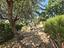 Immagine 28
