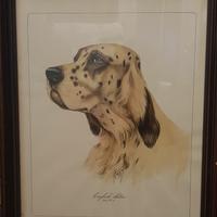quadro  Vintage  Setter inglese
