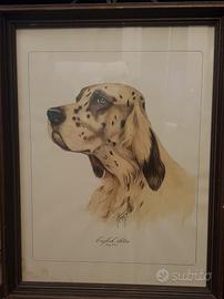 quadro  Vintage  Setter inglese