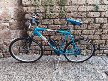 Bici Graphic misura 26 