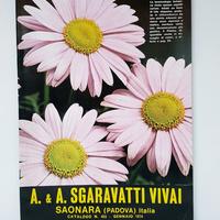 Catalogo sgaravatti vivai n.455 gennaio 1974