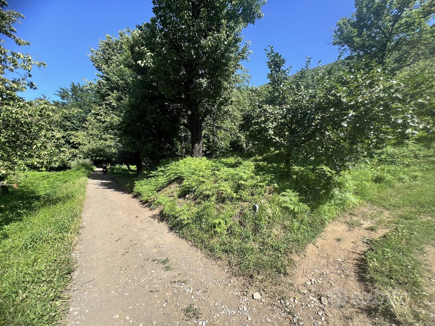 Terreno Agricolo Nocera Superiore - Vista 2