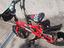 Immagine 3