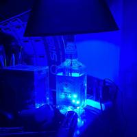 lampada bottiglia jack daniels