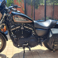Harley Davidson 883R 2007
