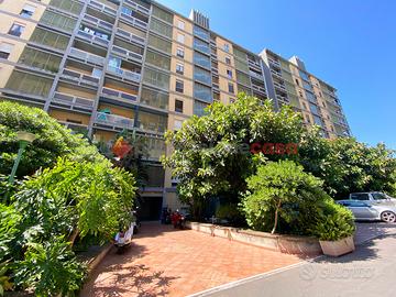 Appartamento Catania [SM-V9-LAVRG]