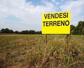 Terreno edificabile con rudere Patrica