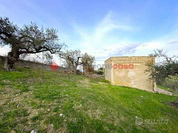 Terreno Agricolo Casteldaccia [C-CBSNC-GDPVCG]