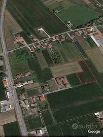 Terreno edificabile