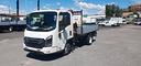 isuzu-m21-th-euro-6-obde-con-cassone-ribaltabile-t
