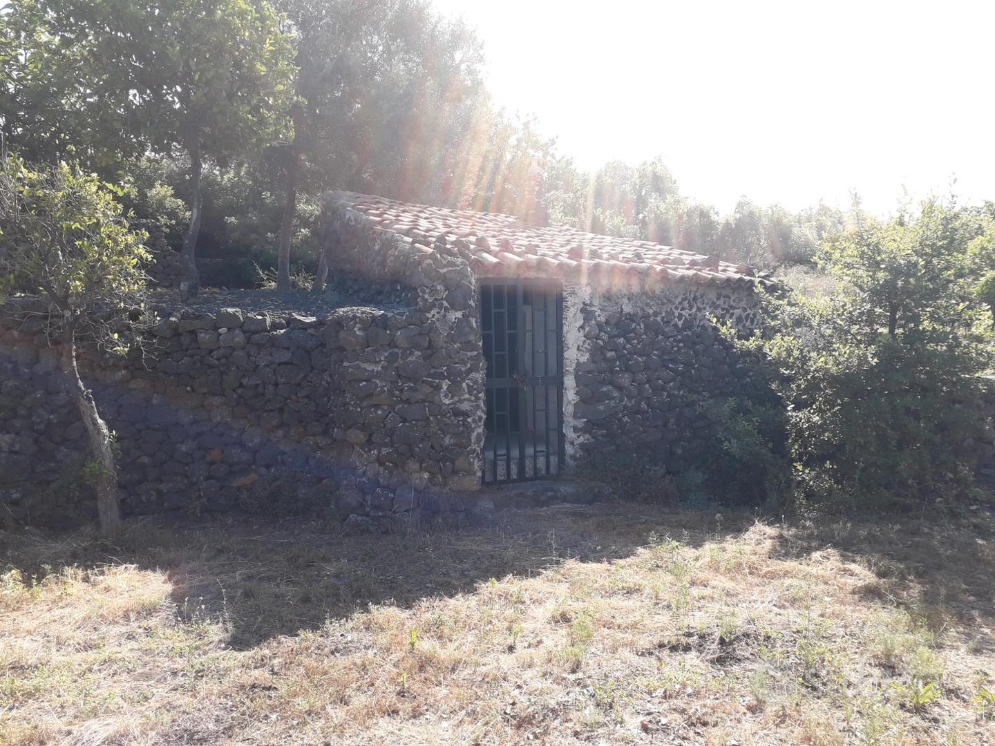 Terreno agricolo di mq.3433 con rustico catastato - Vista 3