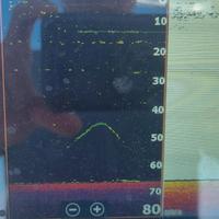 lowrance elite fs 7