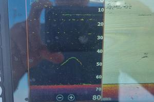 lowrance elite fs 7