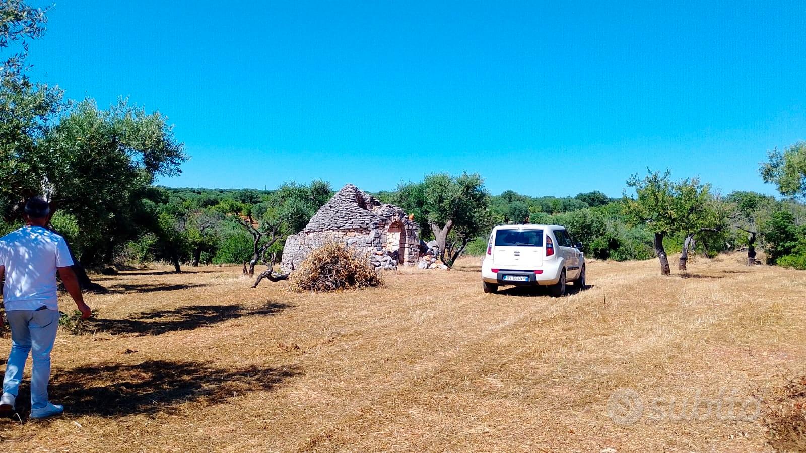 Vendita terreno con trullo - Vista 5