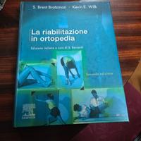Riabilitazione In Ortopedia