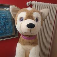 Peluche cane coccolone