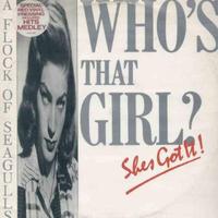 A Flock Of Seagulls - who's that girl? 12'' vinile
