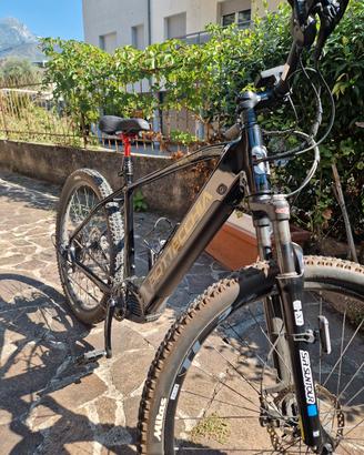 bici elettriche 