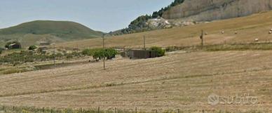 Terreno agricolo