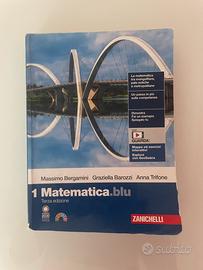 Libro matematica. blu 1